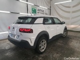 C4 Cactus