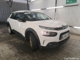 C4 Cactus