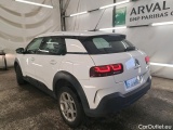 C4 Cactus