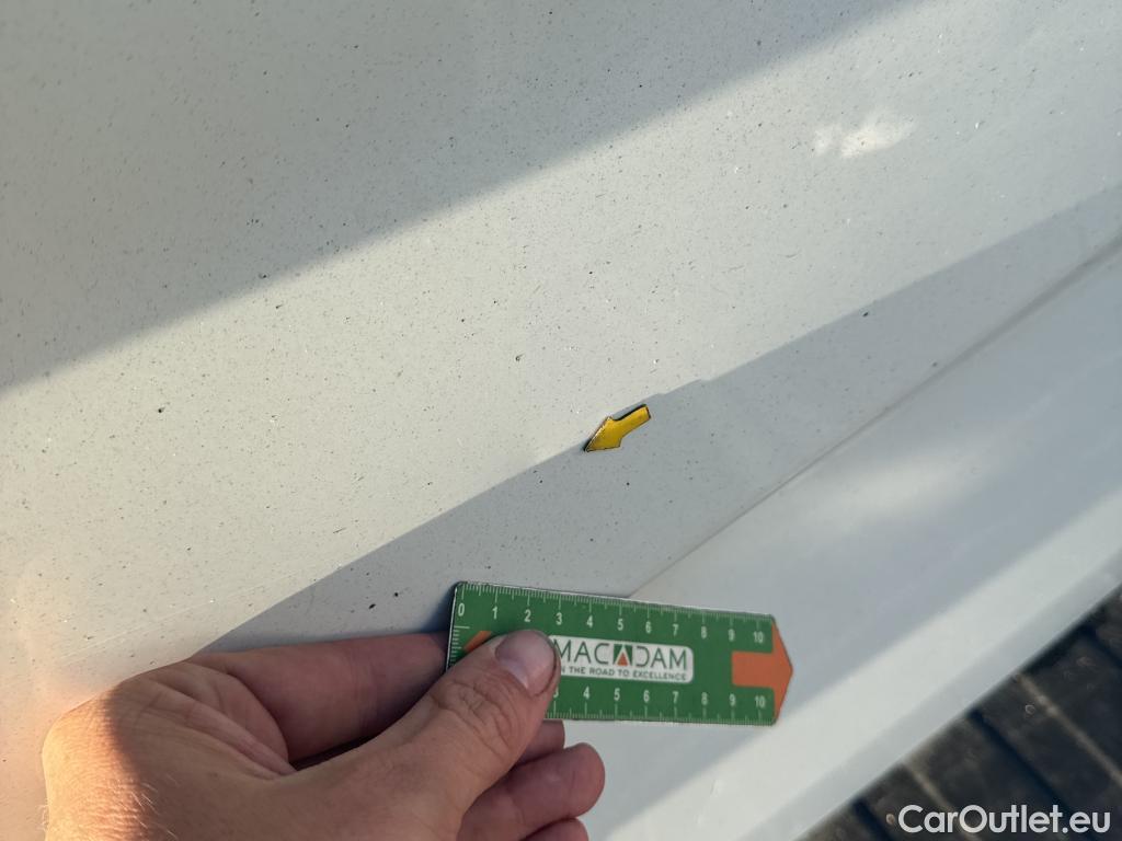  Renault  Trafic RENAULT  / 2019 / 4P / Fourgon tole FG GCF L1H1 1000 dCi 120 #25