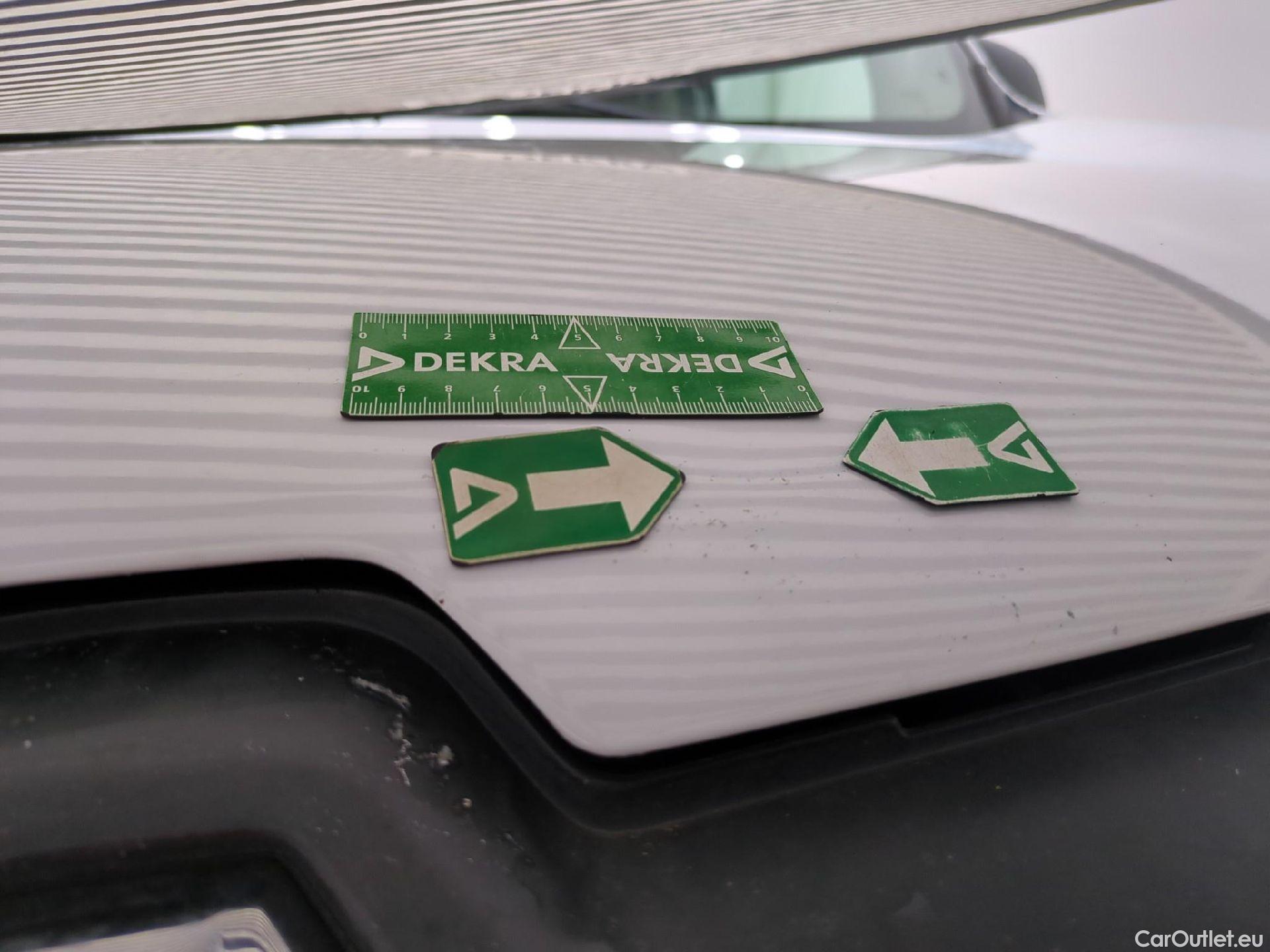  Renault  Kangoo  II Express Extra (Série Spéciale) 1.5 dCi 110CV BVA6 E6 #48