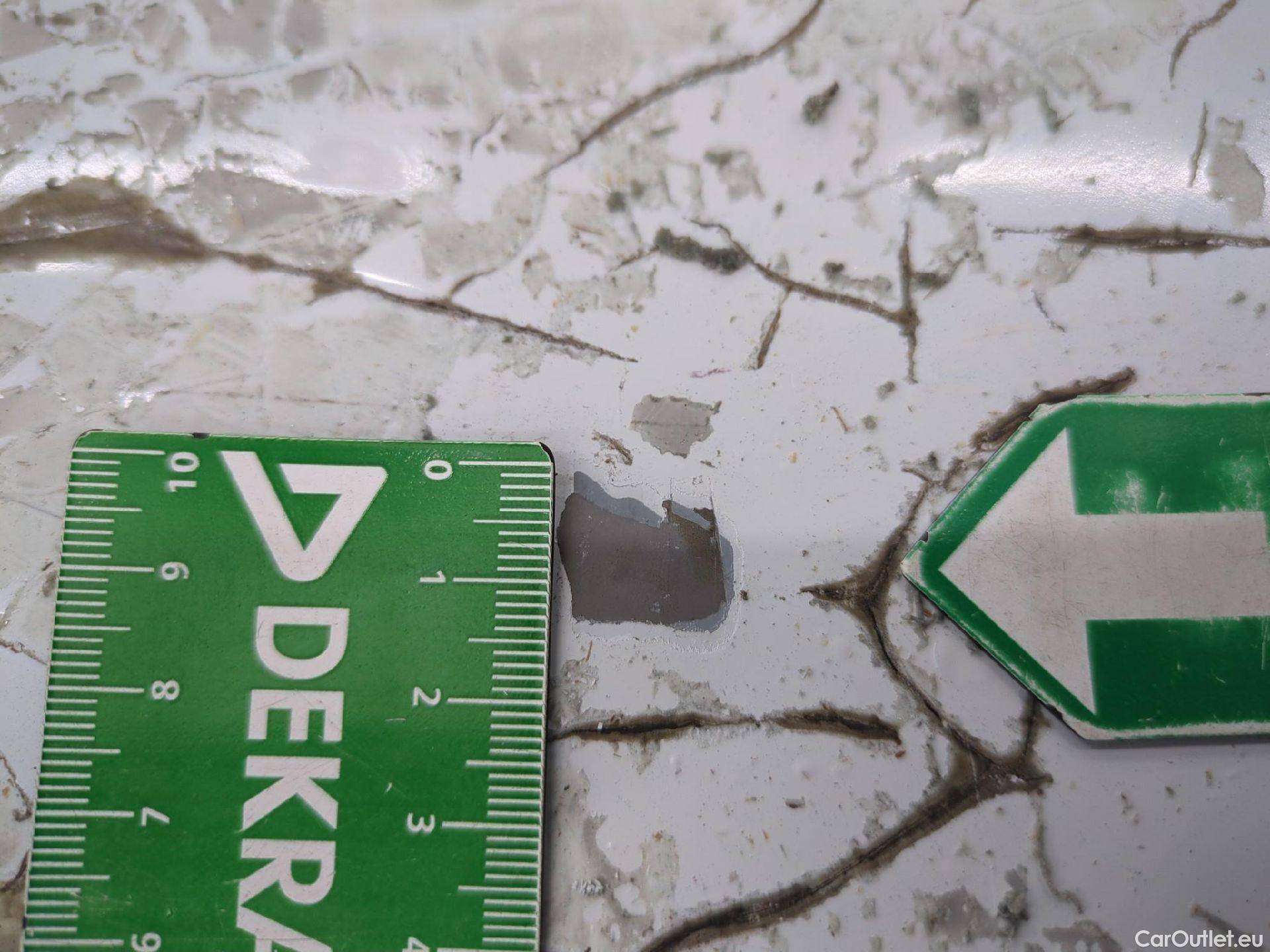  Renault  Kangoo  II Express Extra (Série Spéciale) 1.5 dCi 110CV BVA6 E6 #29