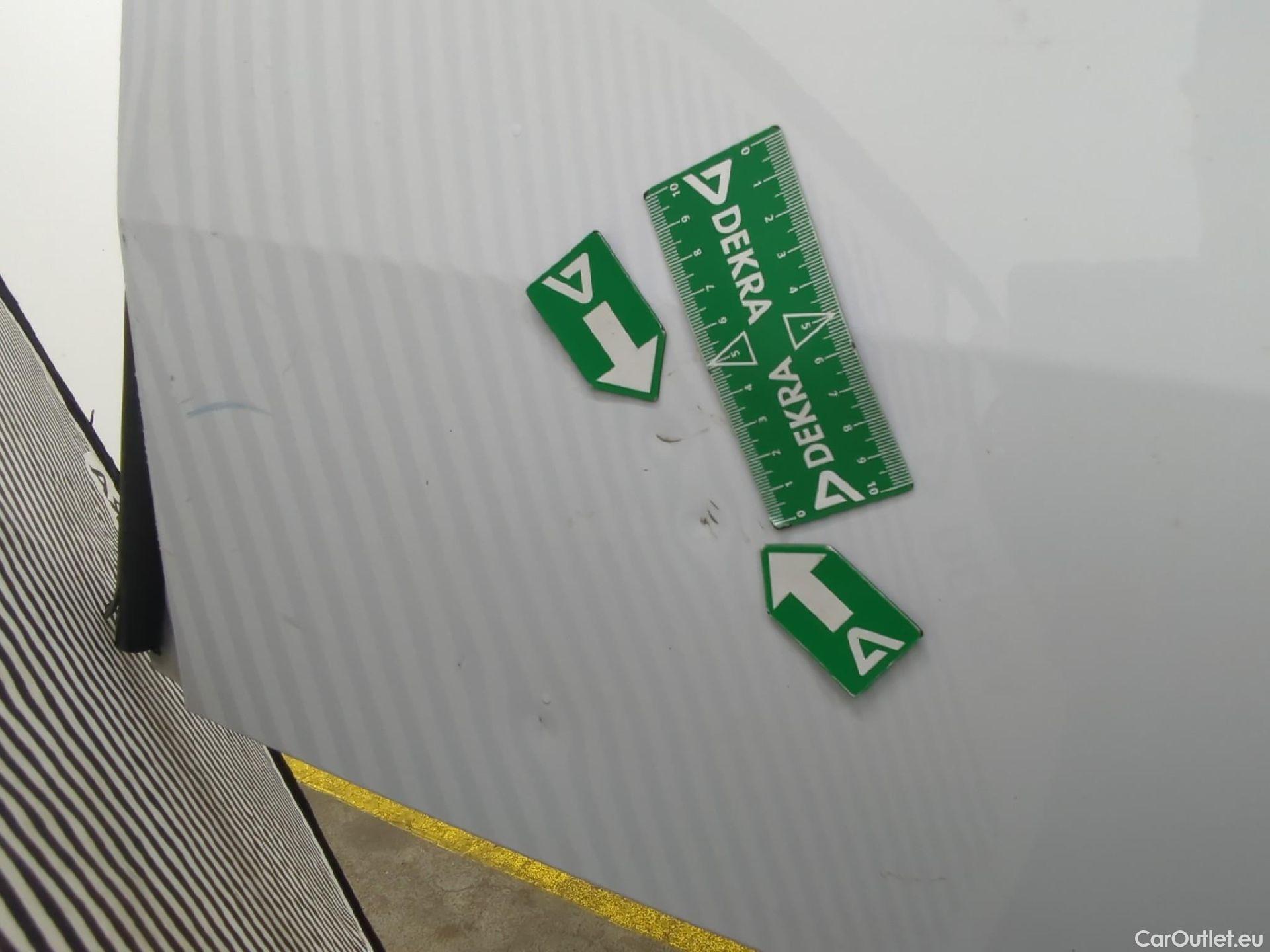  Renault  Kangoo  Express Maxi Extra (Série Spéciale) 1.5 dCi 90CV BVM5 E6 #45