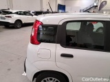  Fiat  Panda FIAT  / 2011 / 5P / BERLINA 1.2 69CV SeS E6D-TEMP EASY #38