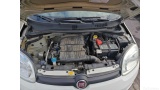  Fiat  Panda 1.2 69cv S&S E6d-Temp Easy Manual Petrol  14 #21