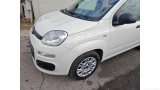 Fiat  Panda 1.2 69cv S&S E6d-Temp Easy Manual Petrol  14 #23