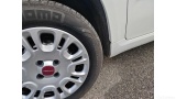  Fiat  Panda 1.2 69cv S&S E6d-Temp Easy Manual Petrol  14 #25