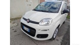  Fiat  Panda 1.2 69cv S&S E6d-Temp Easy Manual Petrol  14 #28