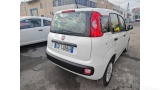  Fiat  Panda 1.2 69cv S&S E6d-Temp Easy Manual Petrol  14 #40