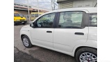 Fiat  Panda 1.2 69cv S&S E6d-Temp Easy Manual Petrol  14 #45
