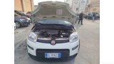  Fiat  Panda 1.0 FireFly 70cv S&S Hybrid Manual Petrol  39 #51