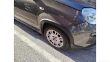  Fiat  Panda 1.0 FireFly 70cv S&S Hybrid Manual Petrol  53 #56