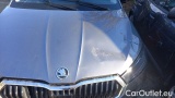  Skoda  Fabia 1.0 MPI Evo 59KW YOUNG EDITION #26