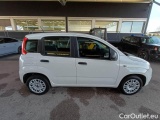  Fiat  Panda FIAT  / 2011 / 5P / BERLINA 1.2 69CV SeS E6D-TEMP EASY #7