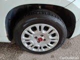  Fiat  Panda FIAT  / 2011 / 5P / BERLINA 1.2 69CV SeS E6D-TEMP EASY #17