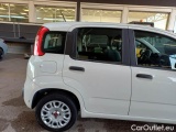  Fiat  Panda FIAT  / 2011 / 5P / BERLINA 1.2 69CV SeS E6D-TEMP EASY #42