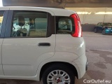  Fiat  Panda FIAT  / 2011 / 5P / BERLINA 1.2 69CV SeS E6D-TEMP EASY #56