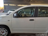  Fiat  Panda FIAT  / 2011 / 5P / BERLINA 1.2 69CV SeS E6D-TEMP EASY #64