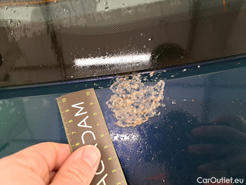  Fiat  500  e Icone 42kWh BVA #23