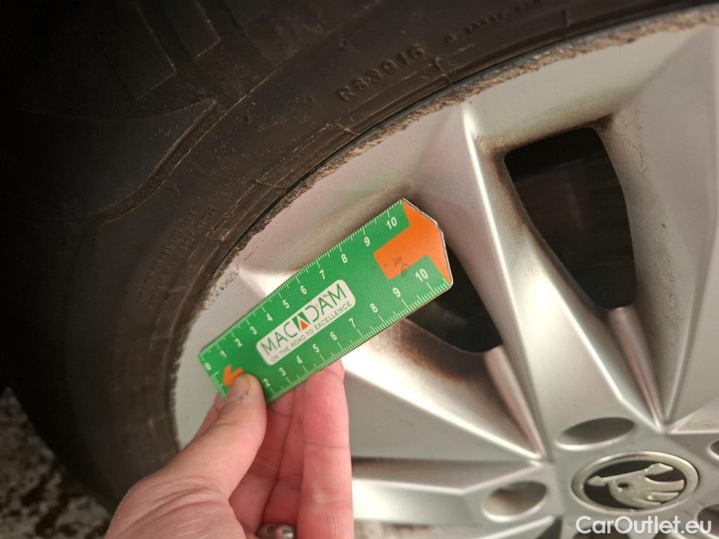  Skoda  Octavia  Break Business 2.0 TDI 115CV BVM6 E6d #19