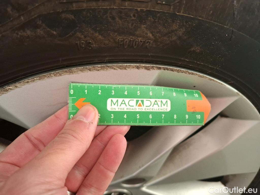  Skoda  Octavia  Break Business 2.0 TDI 115CV BVM6 E6d #18