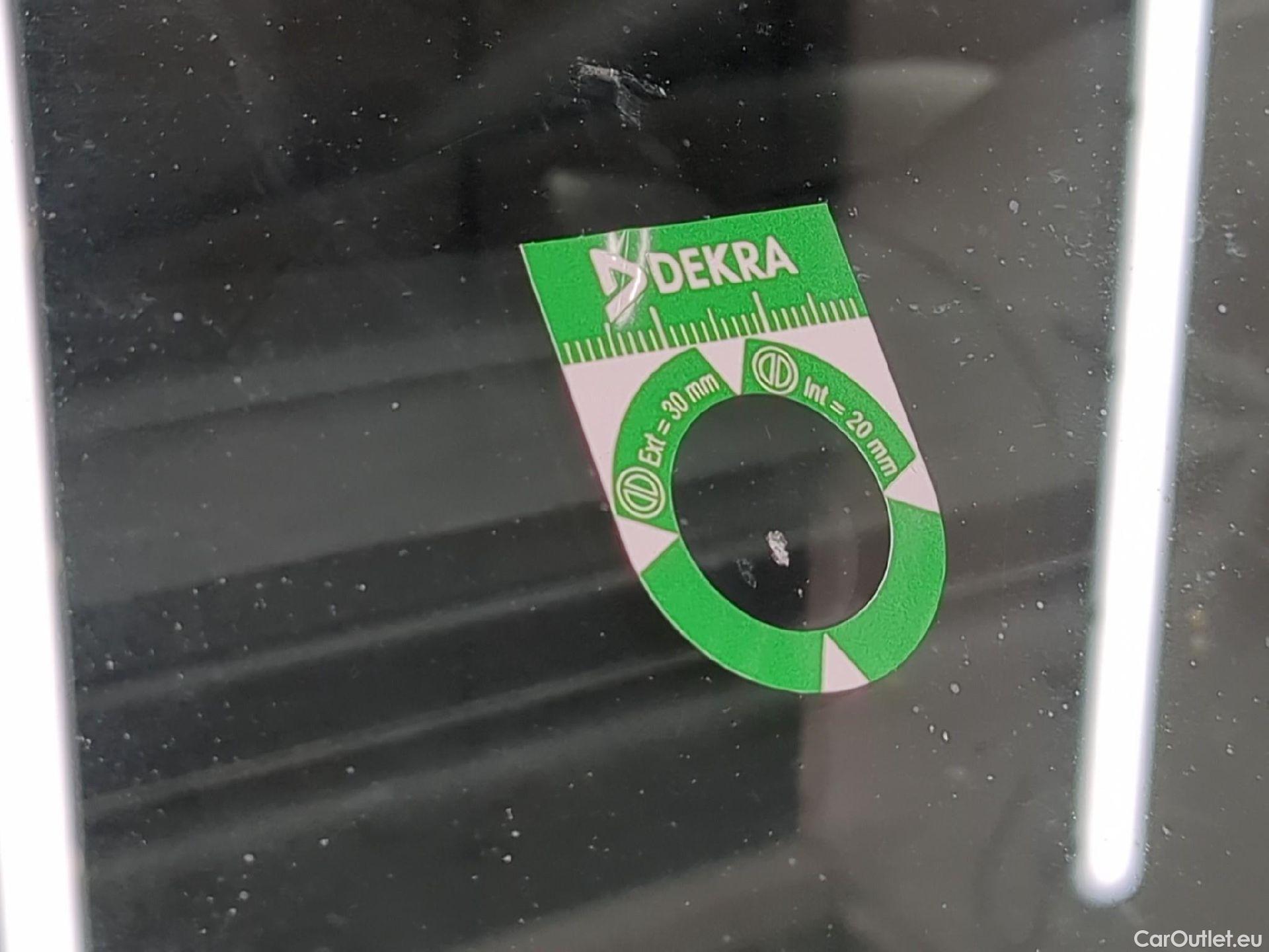  Fiat  Doblo Doblò Pro Lounge Maxi Fourgon 1.6 Multijet #29