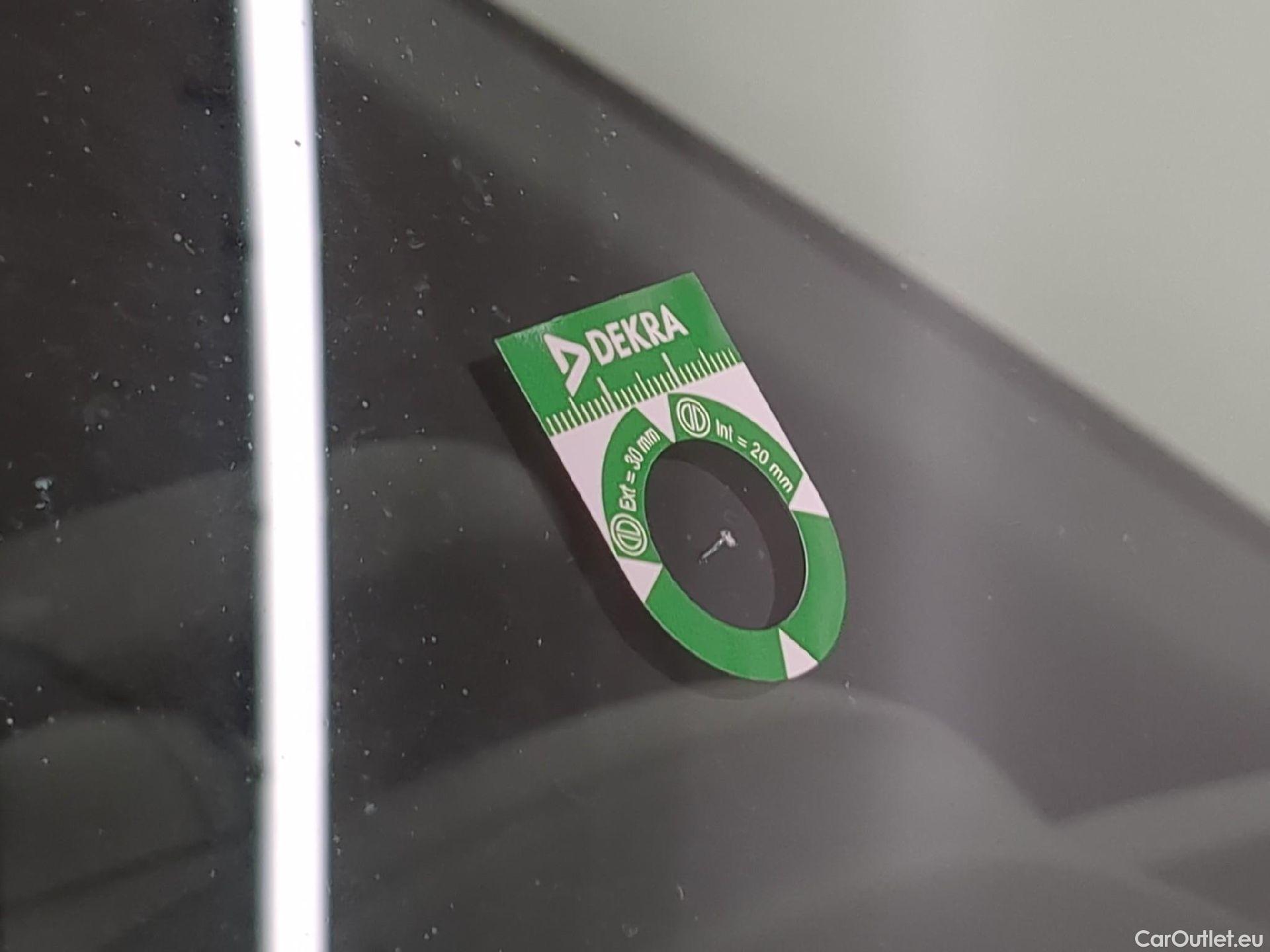  Fiat  Doblo Doblò Pro Lounge Maxi Fourgon 1.6 Multijet #32