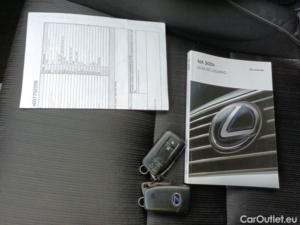  Lexus  NX LEXUS  / 2017 / 5P / todoterreno 2.5 300h Business Navigation 2WD #16