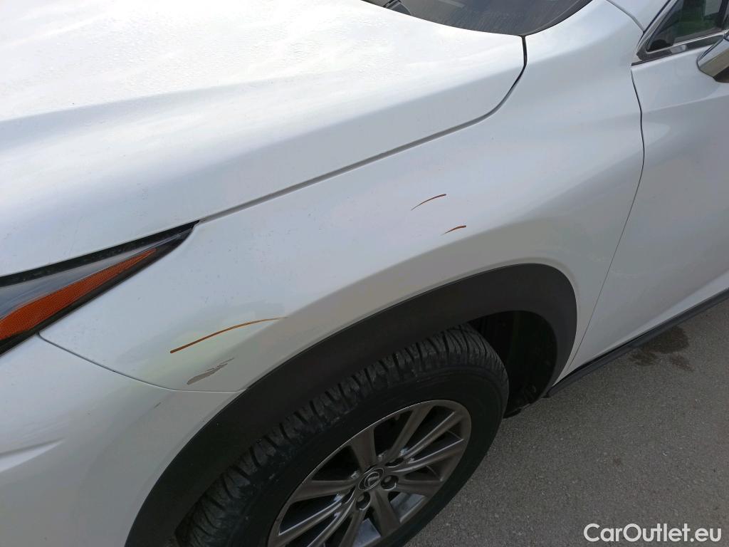  Lexus  NX LEXUS  / 2017 / 5P / todoterreno 2.5 300h Business Navigation 2WD #11