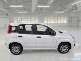  Fiat  Panda FIAT  / 2011 / 5P / Berlina 1.2 69cv S&S E6d-Temp Easy #7