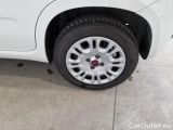  Fiat  Panda FIAT  / 2011 / 5P / Berlina 1.2 69cv S&S E6d-Temp Easy #19