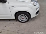  Fiat  Panda FIAT  / 2011 / 5P / Berlina 1.2 69cv S&S E6d-Temp Easy #28
