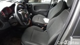  Fiat  Panda 1.0 FireFly 70cv S&S Hybrid #5