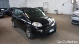  Fiat  Panda 1.0 FireFly 70cv S&S Hybrid #2