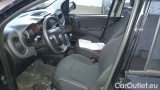  Fiat  Panda 1.0 FireFly 70cv S&S Hybrid #6