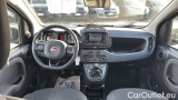  Fiat  Panda 1.0 FireFly 70cv S&S Hybrid #6