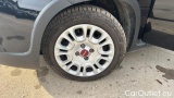  Fiat  Panda 1.0 FireFly 70cv S&S Hybrid #14