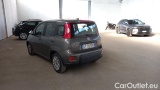 Fiat  Panda 1.0 FireFly 70cv S&S Hybrid #3