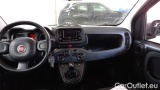  Fiat  Panda 1.0 FireFly 70cv S&S Hybrid #6