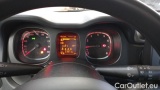  Fiat  Panda 1.0 FireFly 70cv S&S Hybrid #13