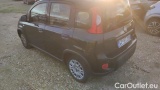  Fiat  Panda 1.0 FireFly 70cv S&S Hybrid #3