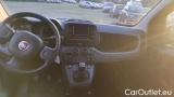  Fiat  Panda 1.0 FireFly 70cv S&S Hybrid #6