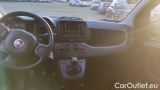  Fiat  Panda 1.0 FireFly 70cv S&S Hybrid #7