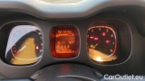 Fiat  Panda 1.0 FireFly 70cv S&S Hybrid #13