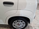  Fiat  Panda FIAT  / 2011 / 5P / BERLINA 1.0 FIREFLY 70CV SeS HYBRID #54