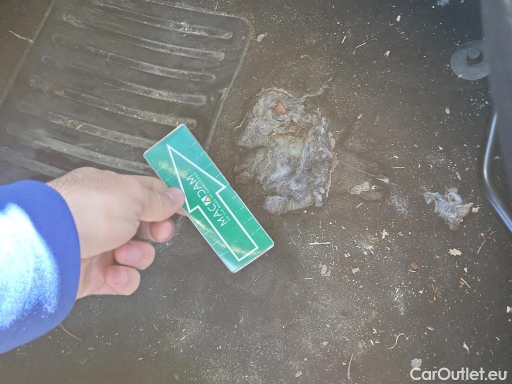  Peugeot  208 PEUGEOT  / 2019 / 5P / berlina con portón BlueHDi 73kW (100CV) Active #21