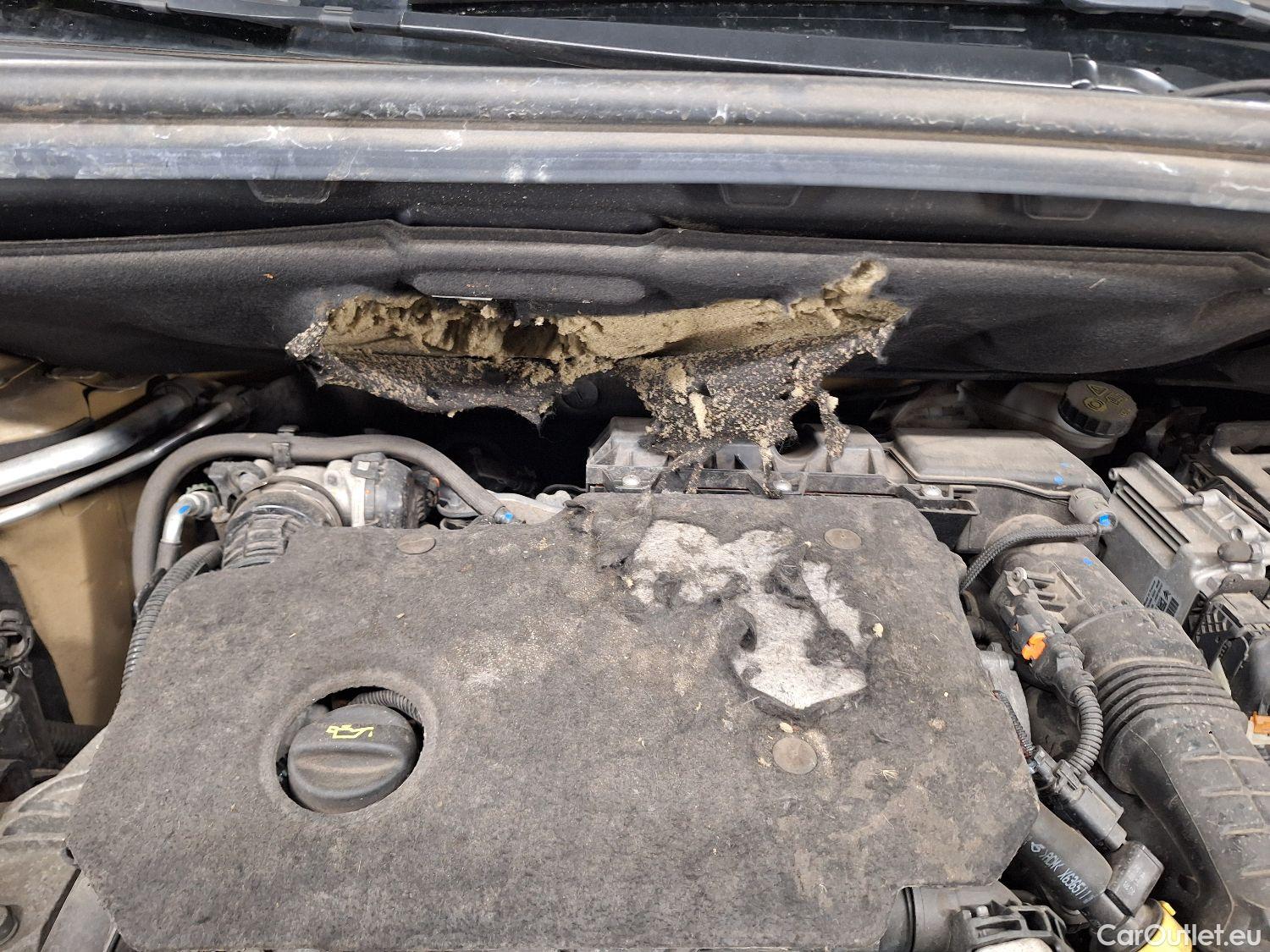  Toyota  Proace Toyota,  City Vers '20, Toyota  City Verso 1.5D 96kW LWB MPV Aut. 5d #51