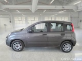  Fiat  Panda FIAT  / 2011 / 5P / BERLINA 1.2 69CV E6D-TEMP EASY #8