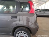  Fiat  Panda FIAT  / 2011 / 5P / BERLINA 1.2 69CV E6D-TEMP EASY #38