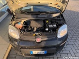  Fiat  Panda 1.0 FireFly 70cv S&S Hybrid Manual Petrol  3 #25